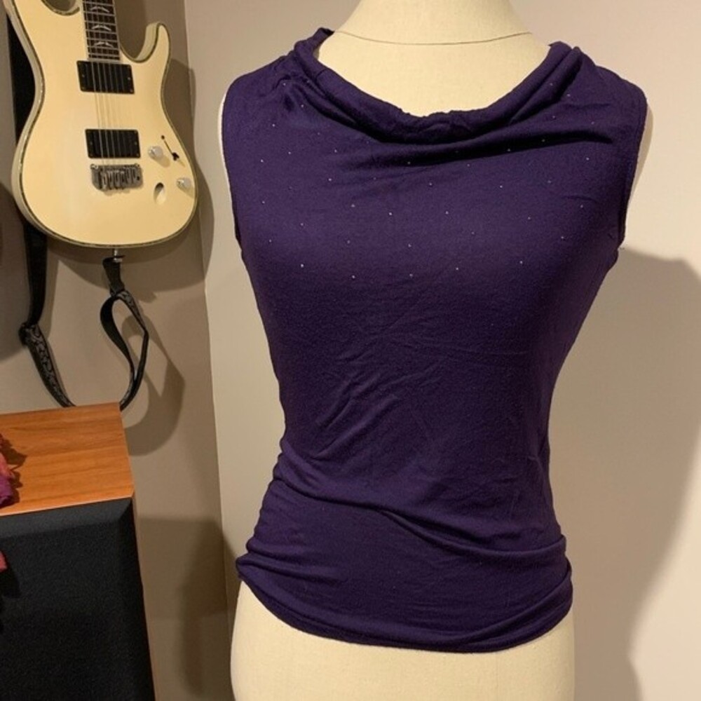 The limited tank top. Purple color with a small amount of sparkle on front XS